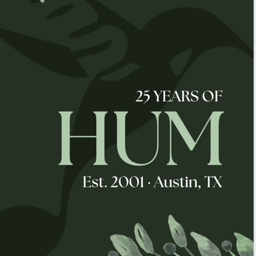 25 Years of HUM poster