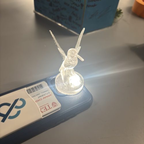 Hummingbird trophy lit up