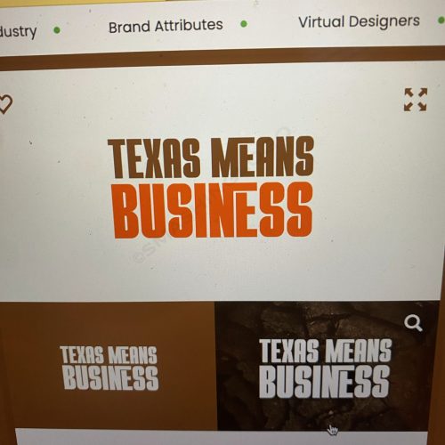 Texas Means Business brand design